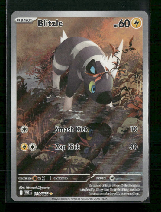SV: White Flare Blitzle #114/086