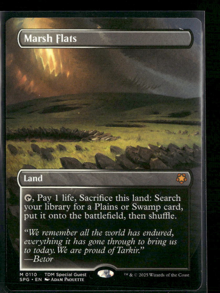 Special Guests Marsh Flats (Borderless) #110