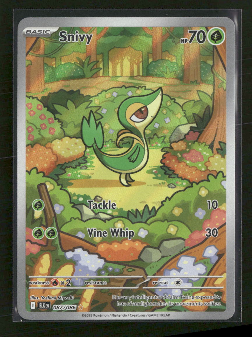 SV: Black Bolt Snivy #087/086