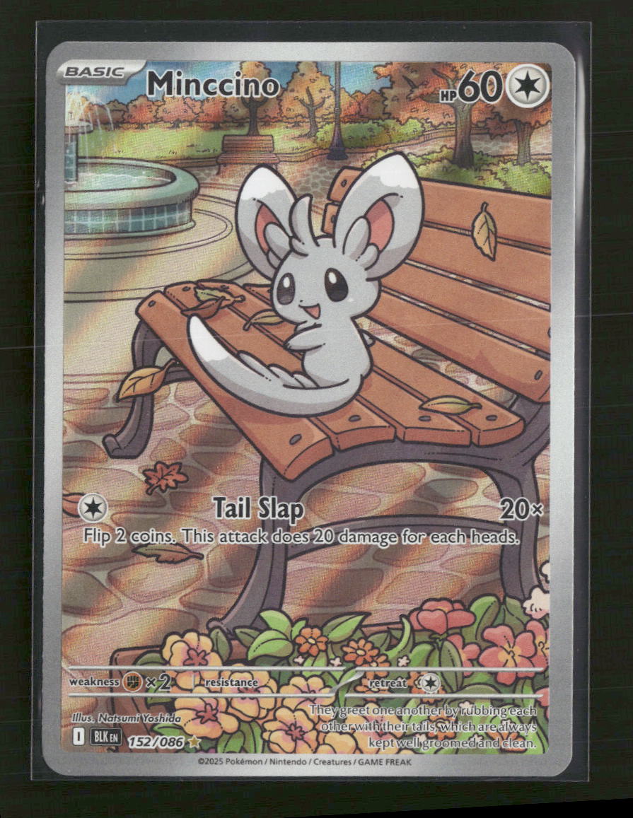 SV: Black Bolt Minccino #152/086