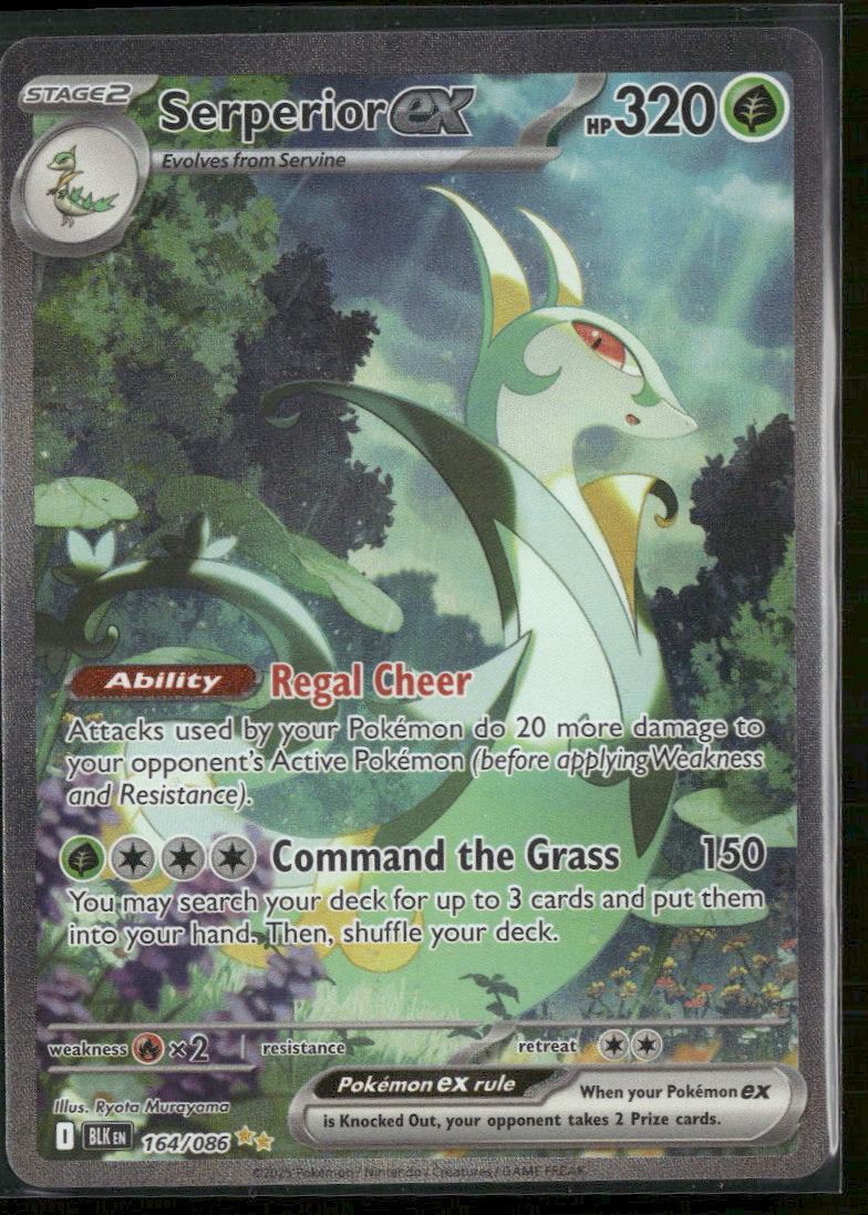 SV: Black Bolt Serperior ex #164/086