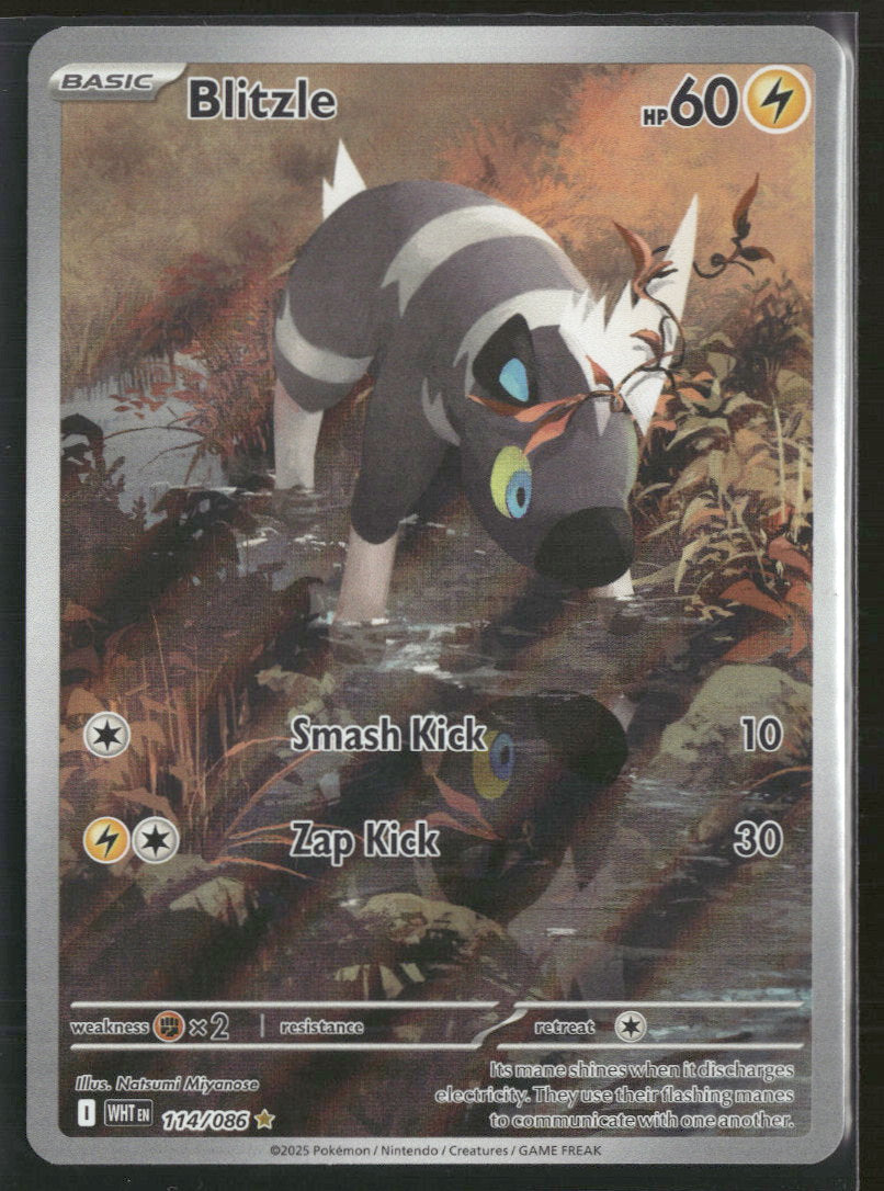 2025 Pokémon Scarlet & Violet - White Flare Blitzle #114