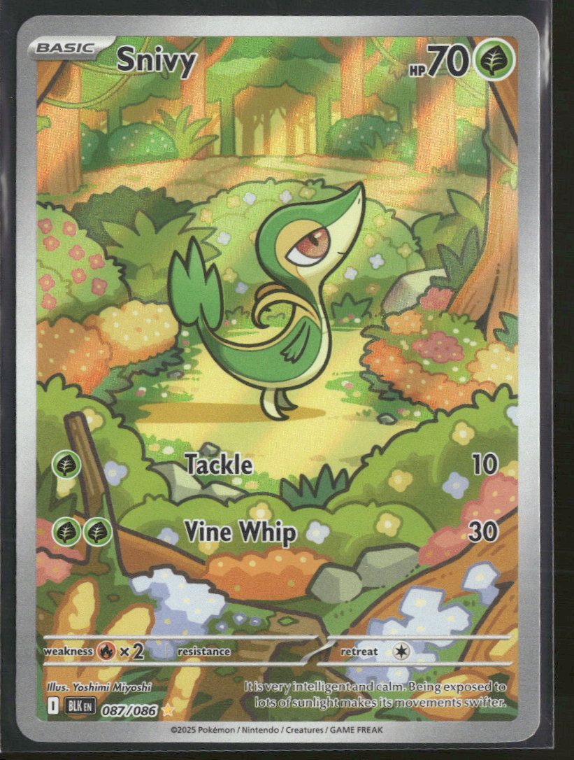 SV: Black Bolt Snivy #087/086