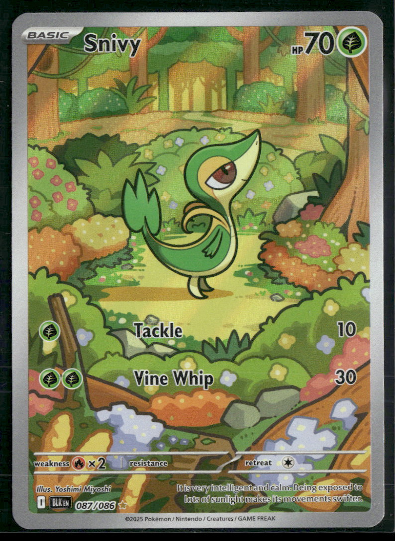 SV: Black Bolt Snivy #087/086