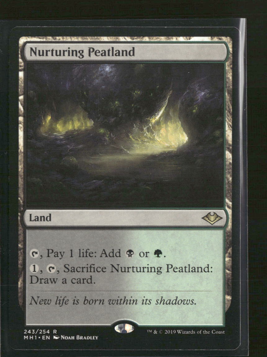 Modern Horizons Nurturing Peatland #243