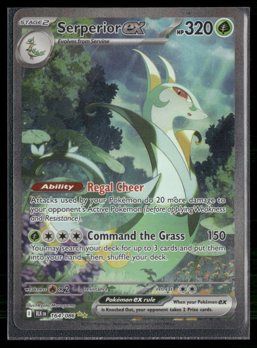 SV: Black Bolt Serperior ex #164/086