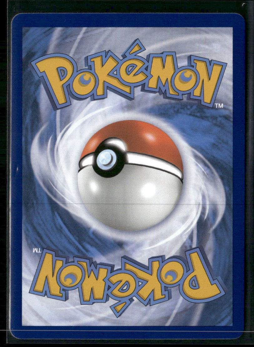 SWSH: Sword & Shield Promo Cards Lucario VSTAR #SWSH291