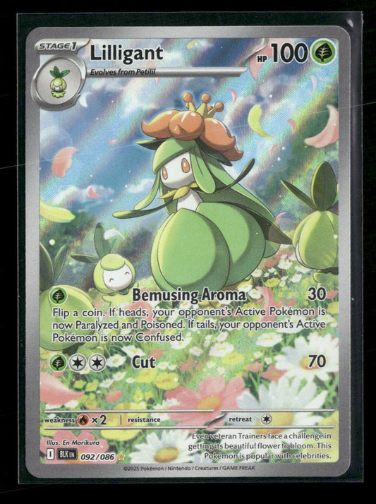 SV: Black Bolt Lilligant #092/086