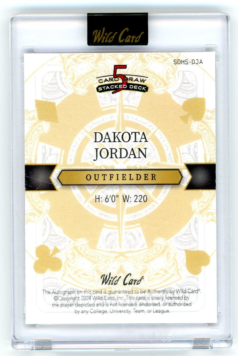 2024 Wild Card 5 Card Draw Rainbow 1/1 Dakota Johnson #SDHS-DJA