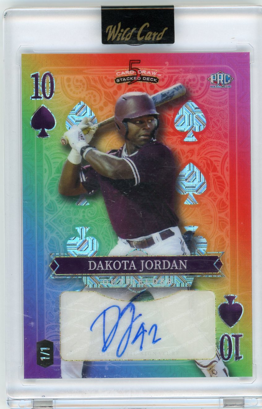2024 Wild Card 5 Card Draw Rainbow 1/1 Dakota Johnson #SDHS-DJA
