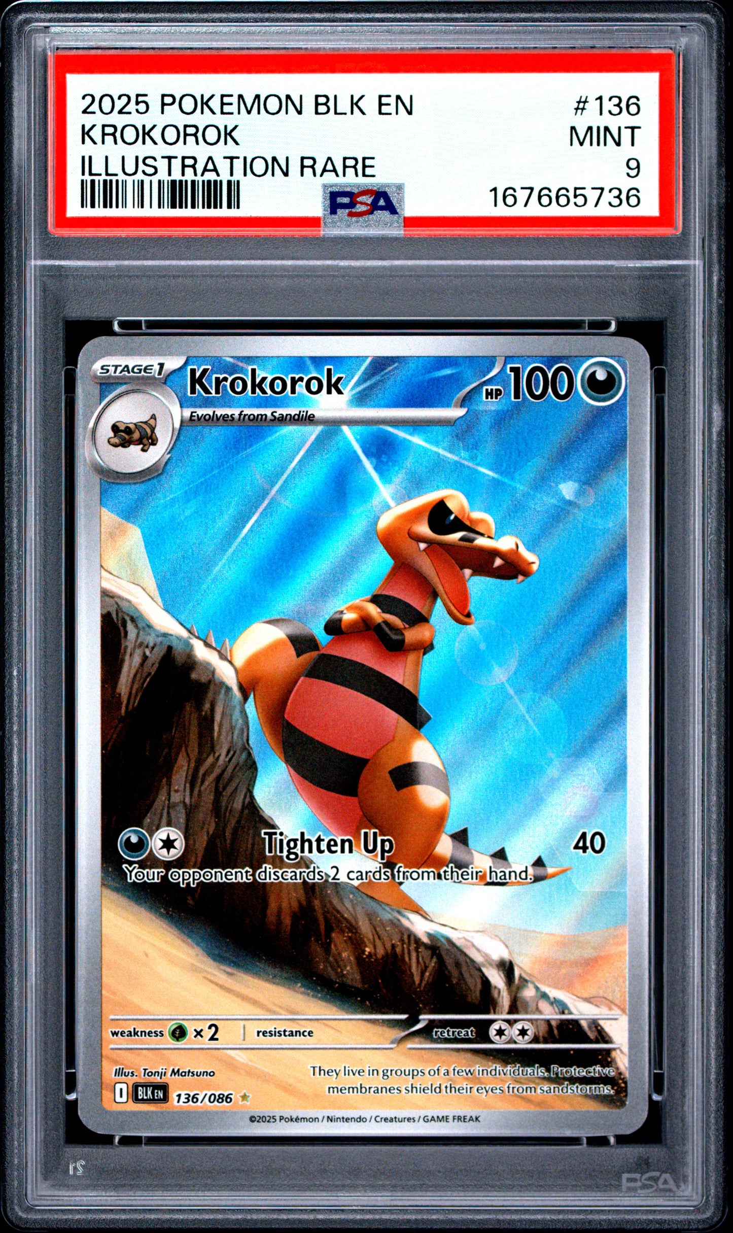2025 Pokemon Blk En-Black Bolt Illustration Rare Krokorok 9 PSA #136