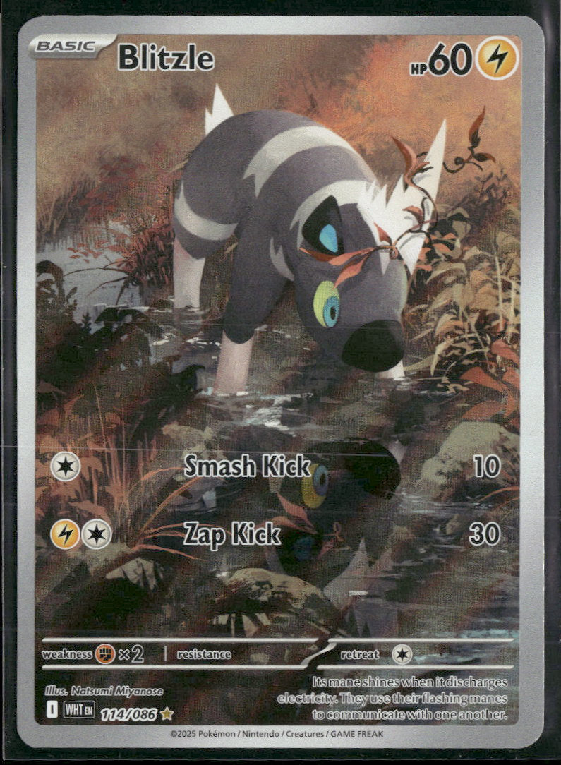 SV: White Flare Blitzle #114/086