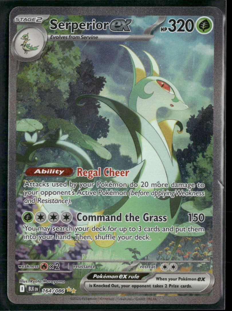 SV: Black Bolt Serperior ex #164/086