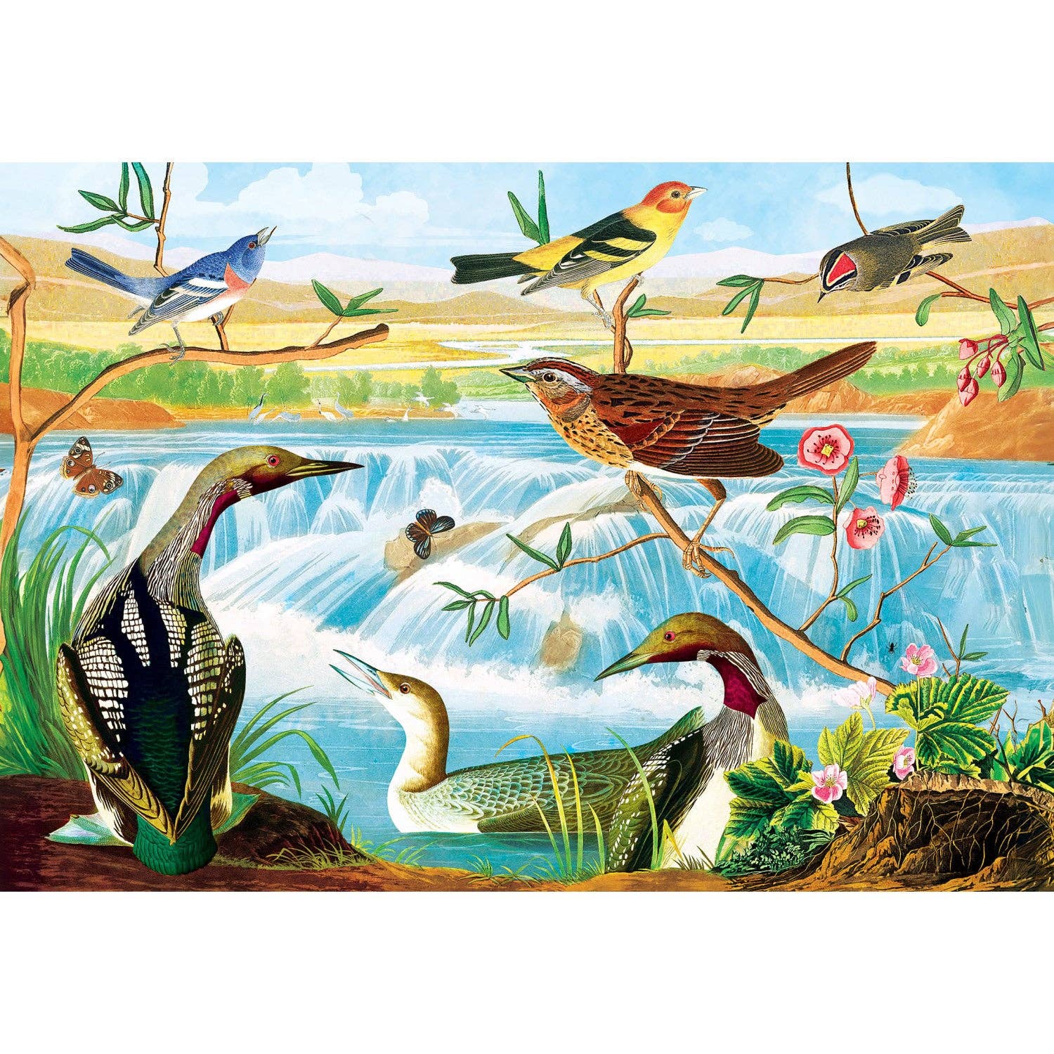 Audubon 2000 Piece Jigsaw Puzzle - Signature Collection