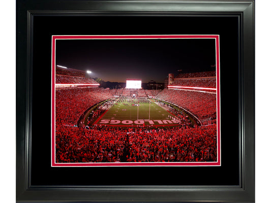 Framed Sanford Stadium Georgia Bulldogs 11"x14" NCAA Football Photo Professionally Matted