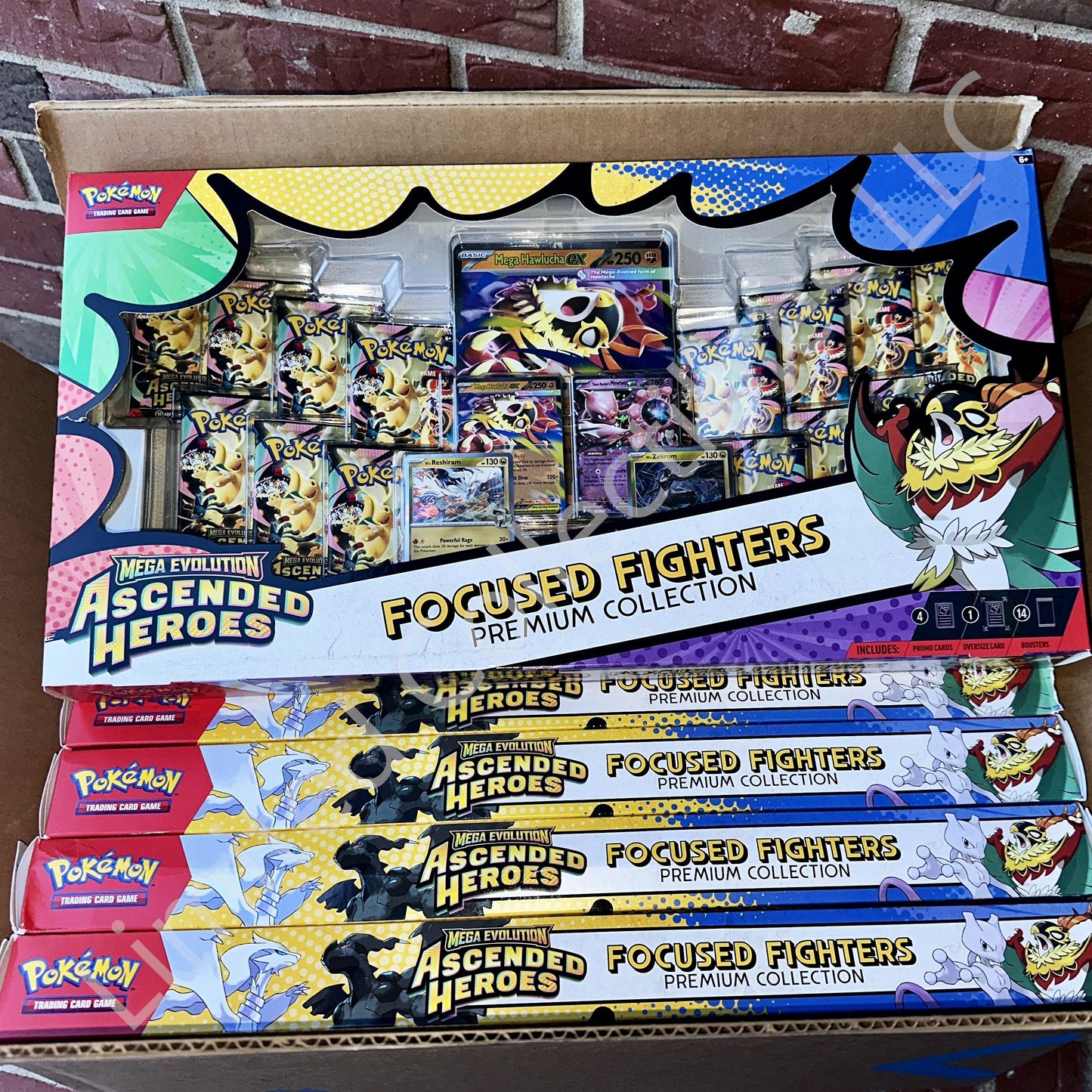 Pokémon TCG Mega Evolution Ascended Heroes Focused Fighters Premium Collection sealed box