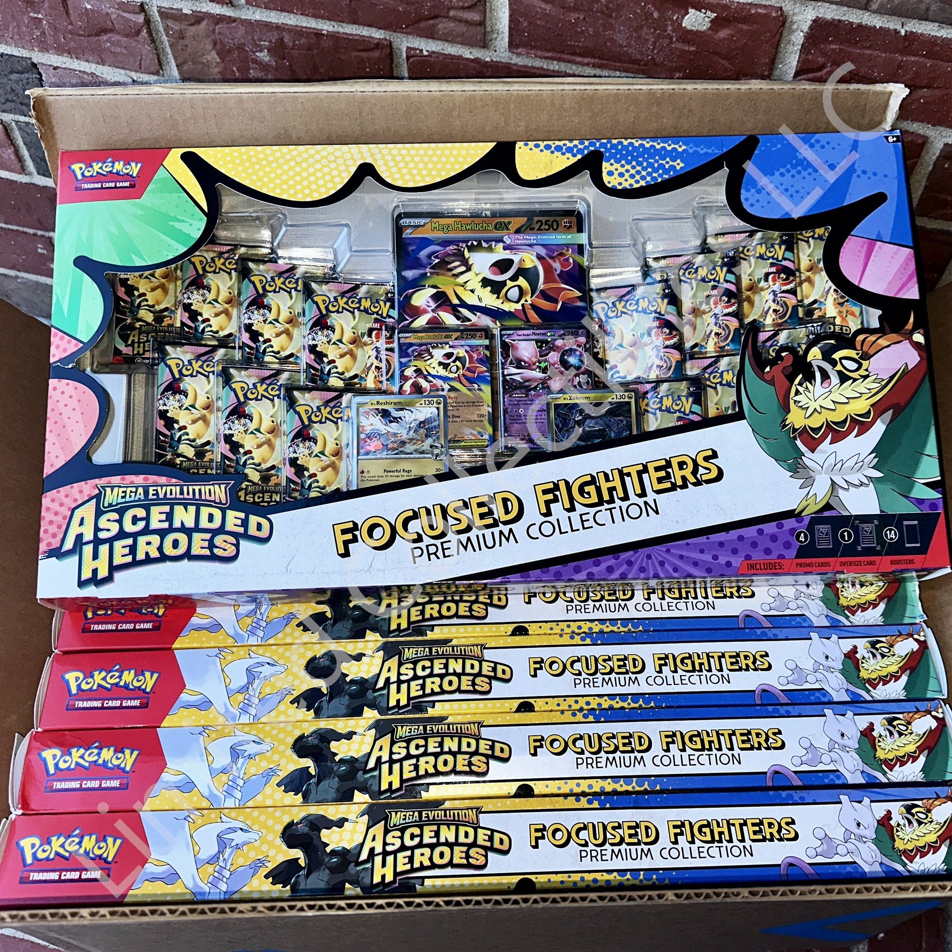 Pokémon TCG Mega Evolution Ascended Heroes Focused Fighters Premium Collection sealed box